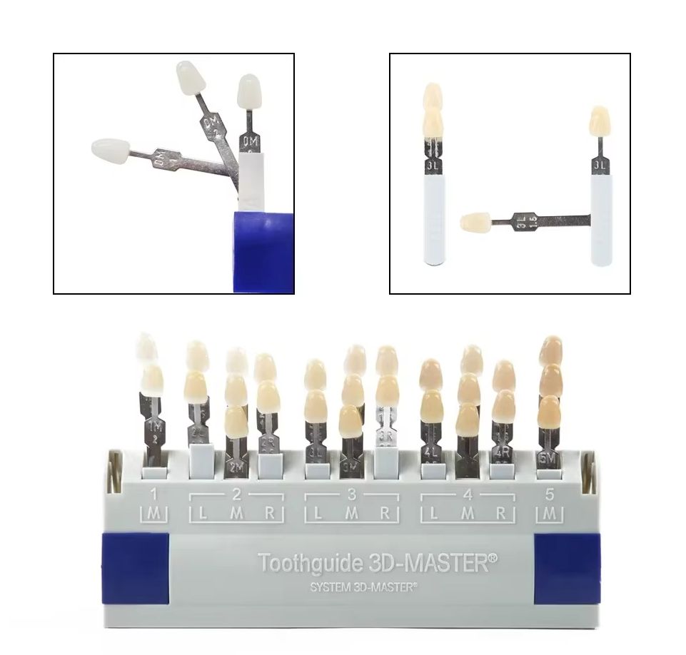 Vita 3D Master Dental Lab Blea – Teeth Whitening Shade Guide recenzja i cena